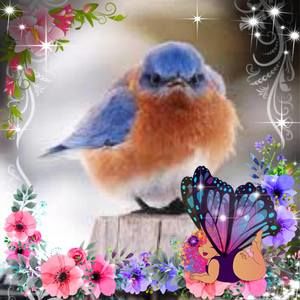 Meet your Posher, Lydia